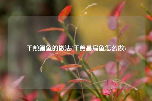 干煎鲳鱼的做法(干煎昌扁鱼怎么做)