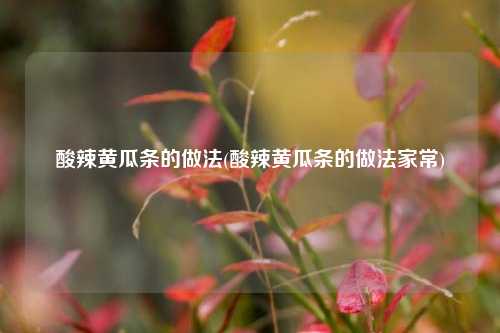 酸辣黄瓜条的做法(酸辣黄瓜条的做法家常)