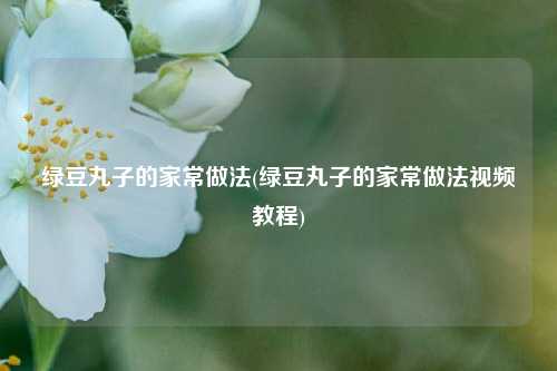 绿豆丸子的家常做法(绿豆丸子的家常做法视频教程)