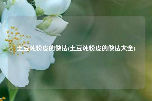 土豆炖粉皮的做法(土豆炖粉皮的做法大全)
