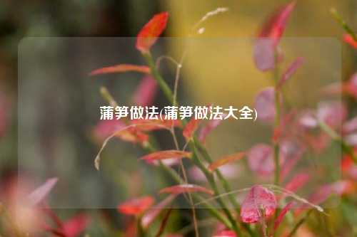 蒲笋做法(蒲笋做法大全)
