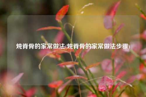 炖脊骨的家常做法(炖脊骨的家常做法步骤)