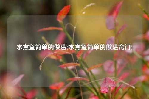 水煮鱼简单的做法(水煮鱼简单的做法窍门)
