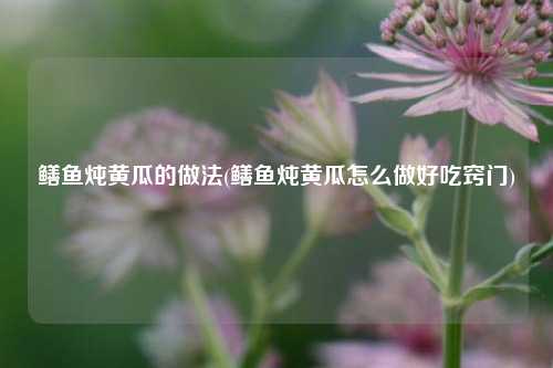 鳝鱼炖黄瓜的做法(鳝鱼炖黄瓜怎么做好吃窍门)