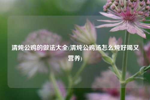 清炖公鸡的做法大全(清炖公鸡汤怎么炖好喝又营养)