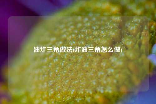 油炸三角做法(炸油三角怎么做)