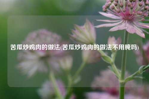 苦瓜炒鸡肉的做法(苦瓜炒鸡肉的做法不用腌吗)