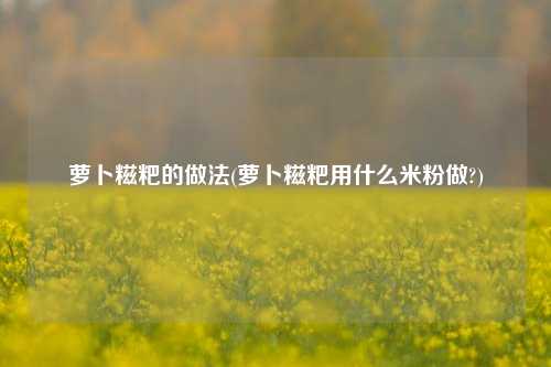 萝卜糍粑的做法(萝卜糍粑用什么米粉做?)