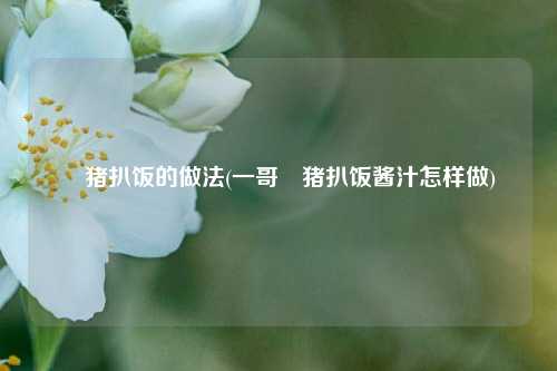 焗猪扒饭的做法(一哥焗猪扒饭酱汁怎样做)