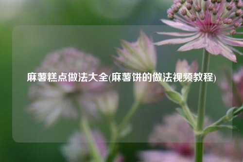 麻薯糕点做法大全(麻薯饼的做法视频教程)